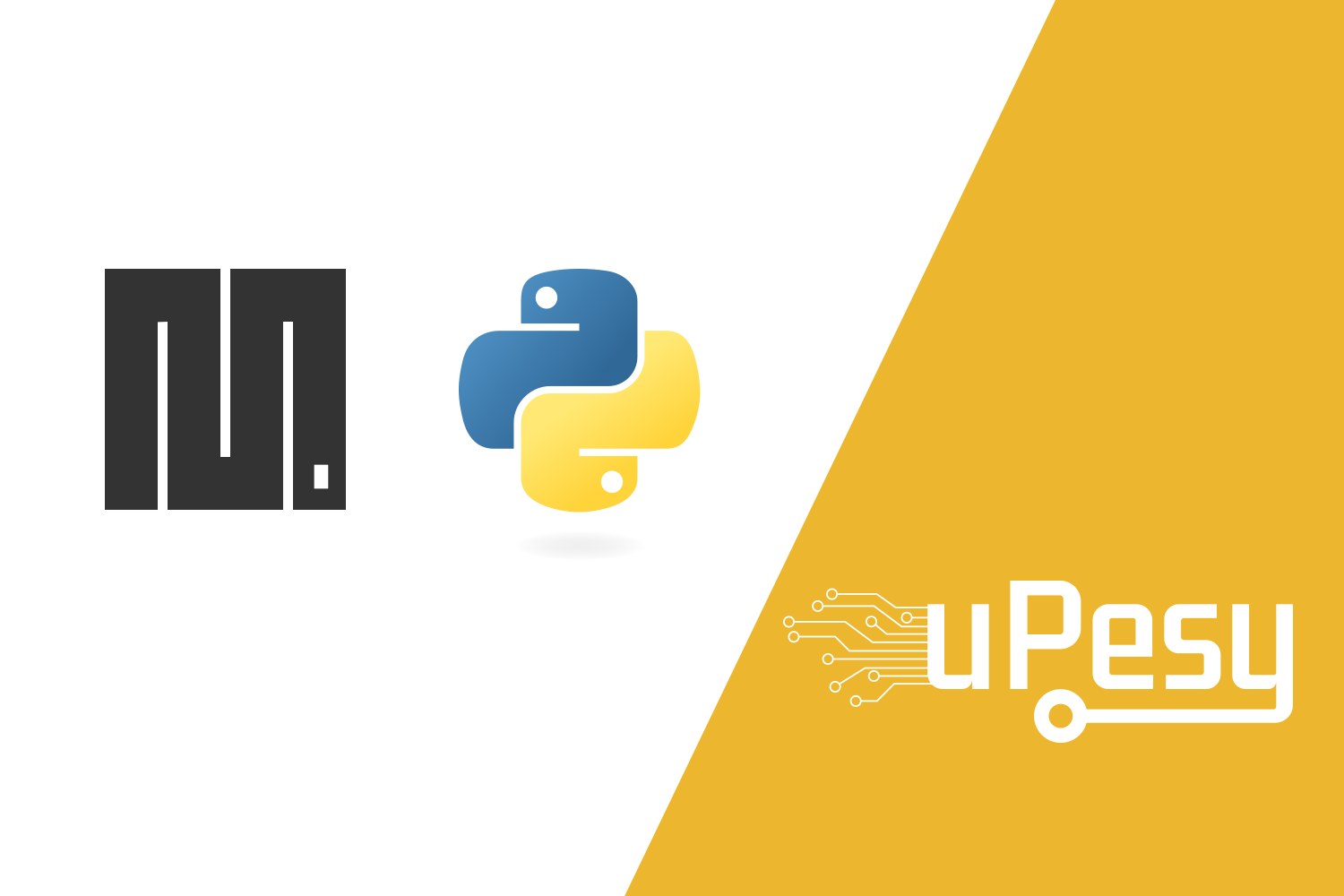 Convertir une image au format .pbm pour MicroPython
